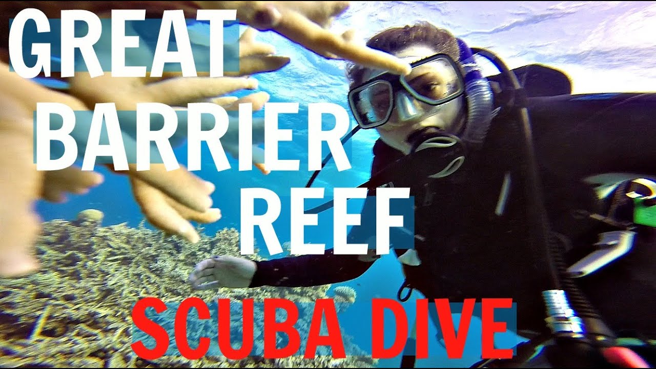 BEST SCUBA TRIP EVER | The Great Barrier Reef, Australia