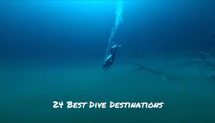 24 Best Dive Destinations: My Favorites Around the World