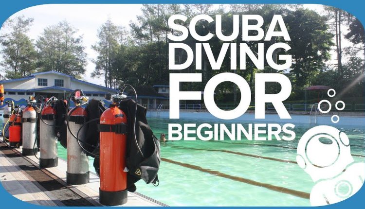 Scuba Gear For Beginners