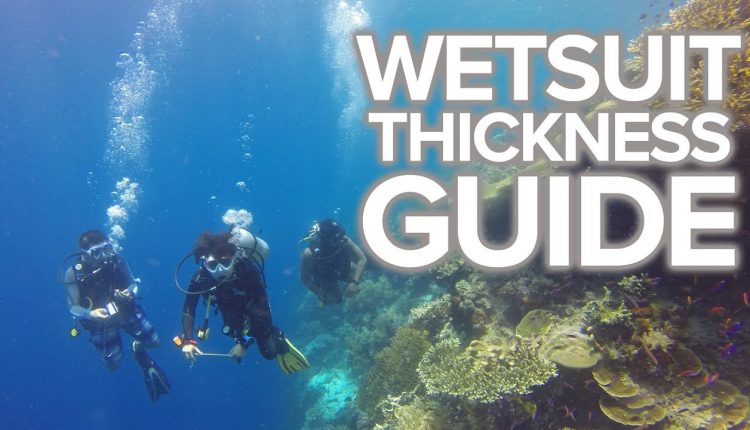 Wetsuit Thickness Guide