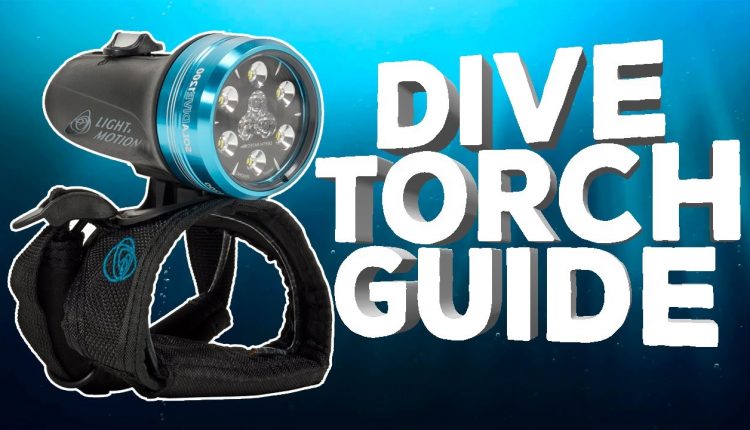 Dive Torch Guide