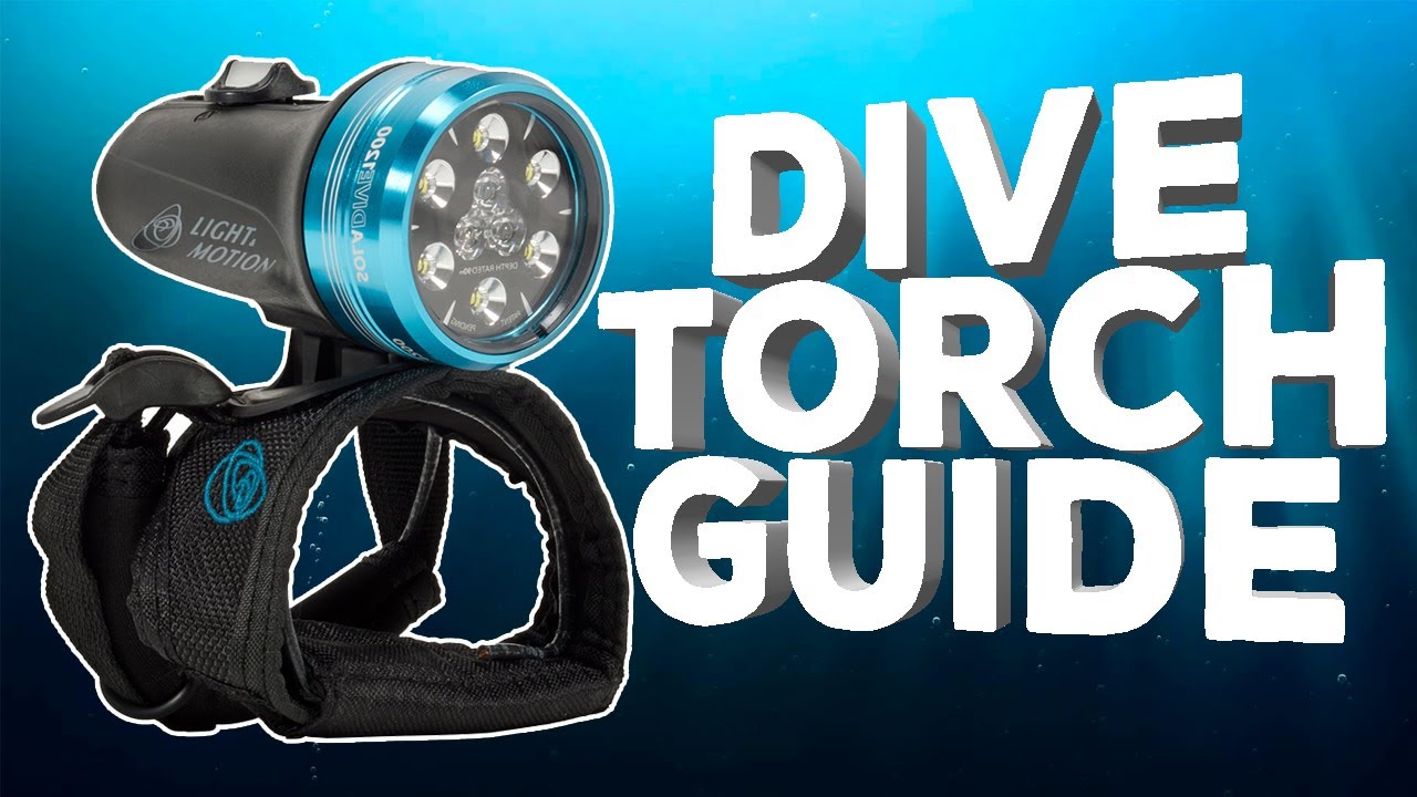 Dive Torch Guide