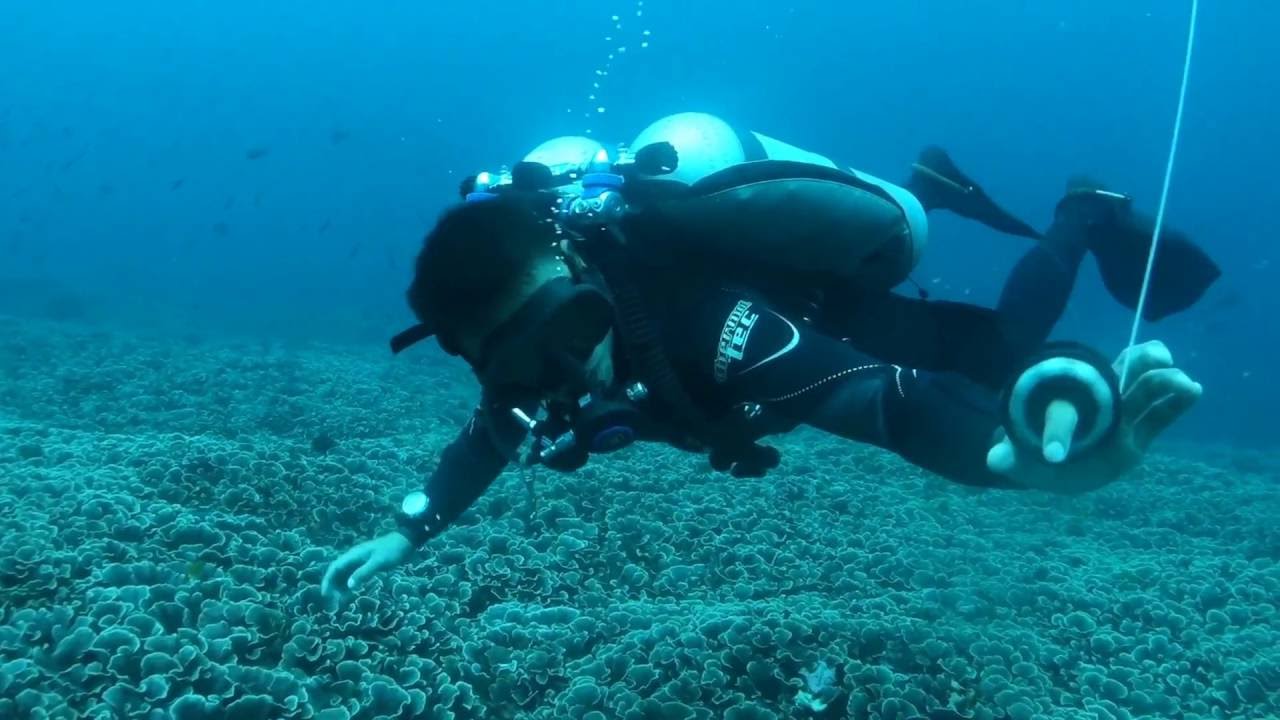 How to shoot a Surface Marker Buoy (SMB) while diving.