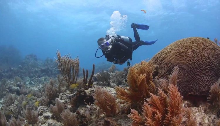 ScubaLab TV: Mares Avanti Quattro+ Fins