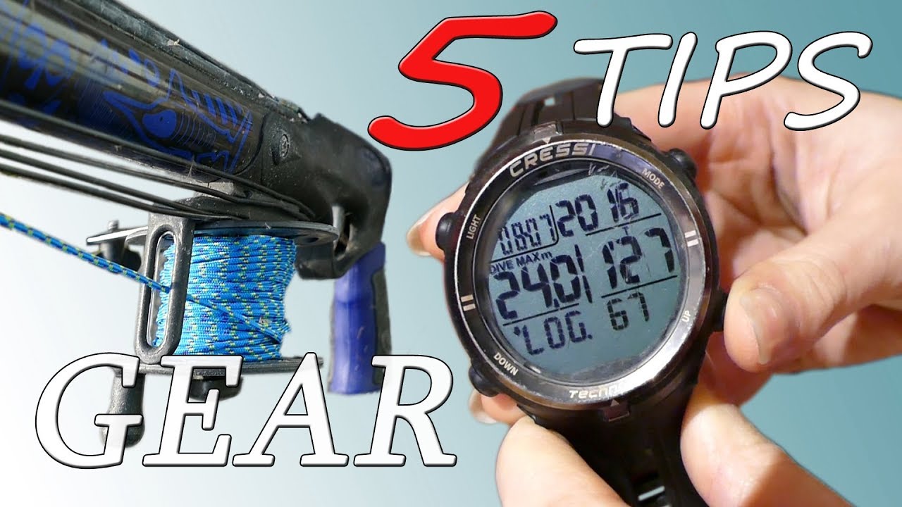 5 Essential Spearfishing Tips: GEAR