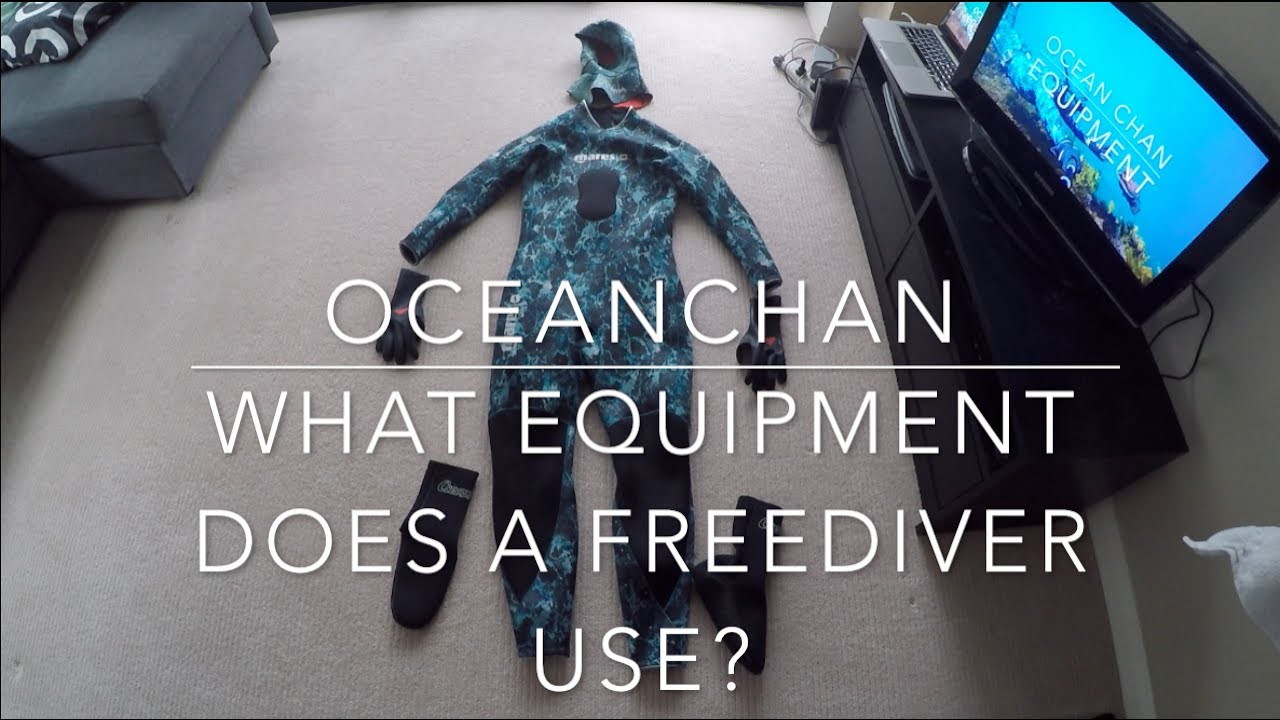 What equipment do I need for freediving? | Equipment/Gear | OceanChan