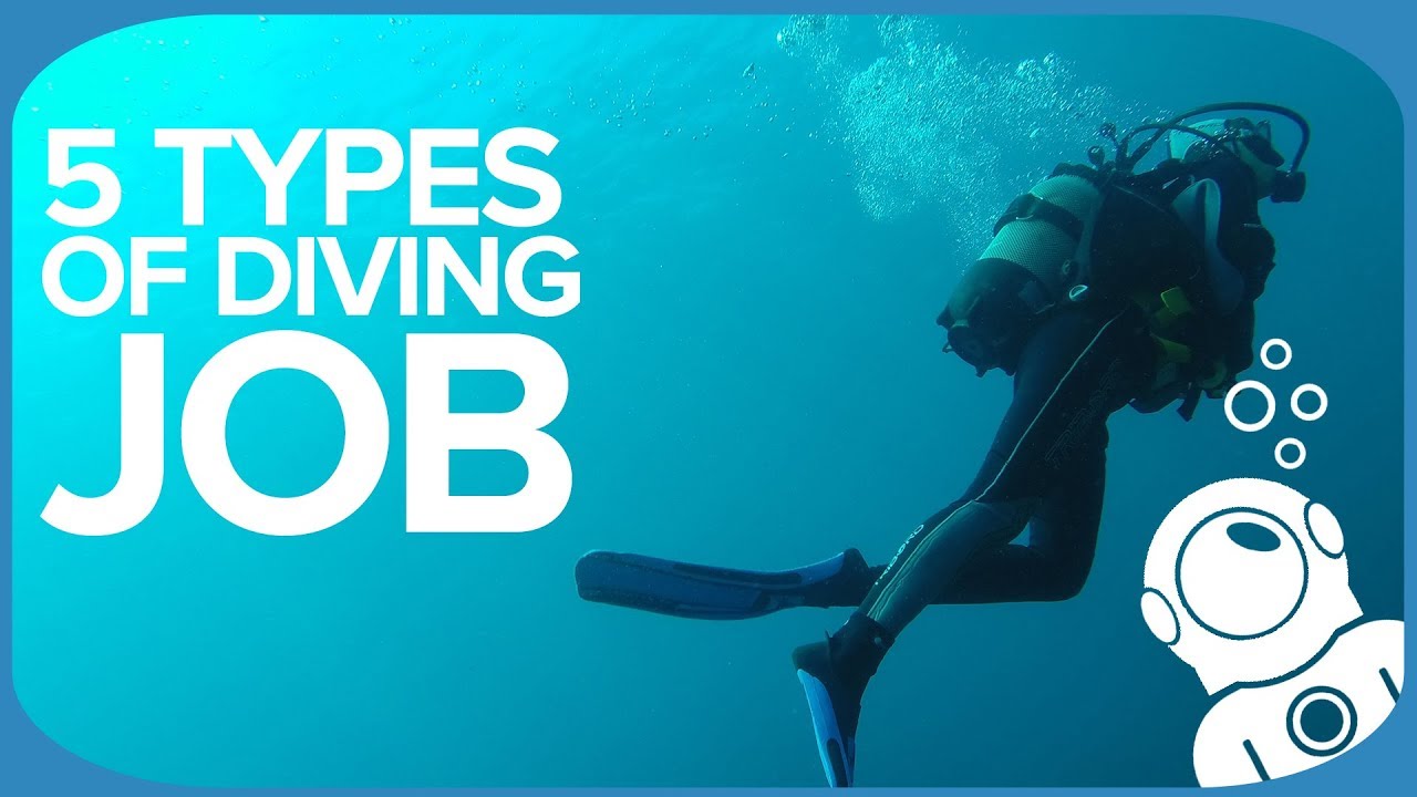 5 Types Of Diving Job