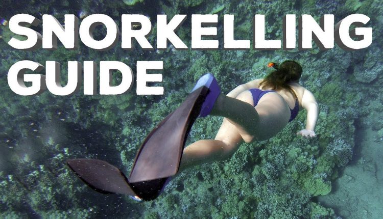 Snorkelling Guide