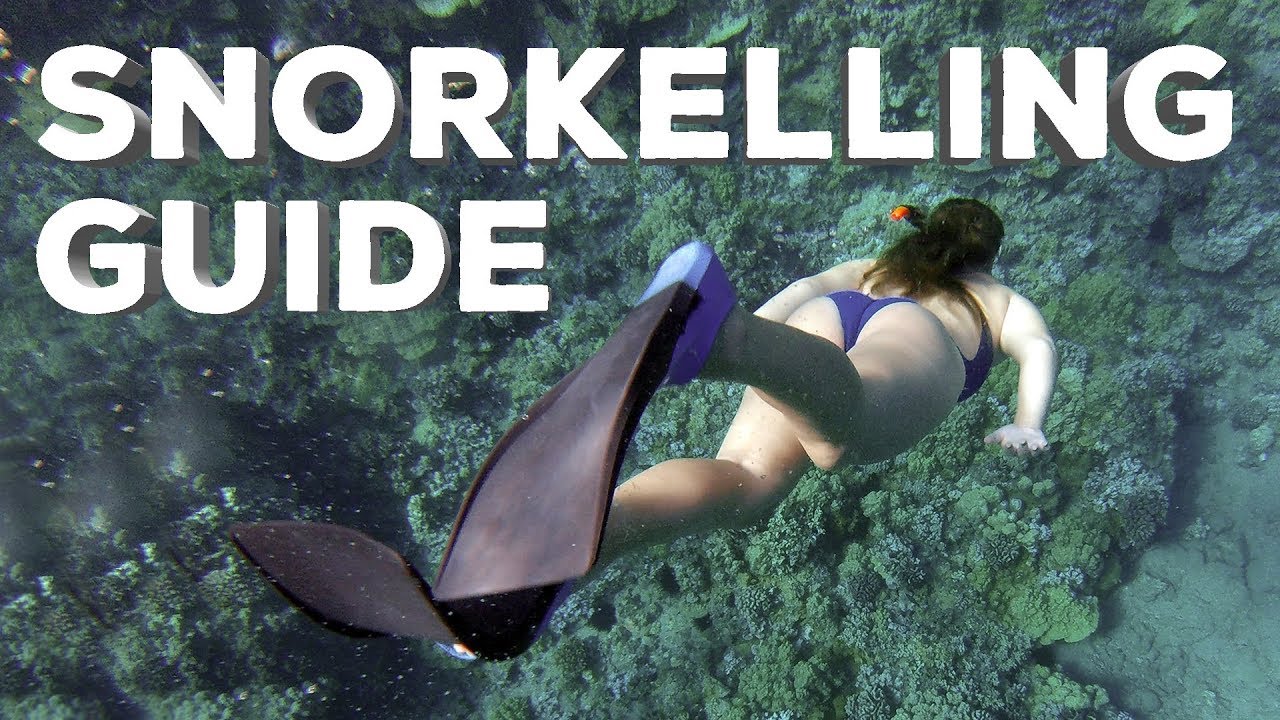 Snorkelling Guide