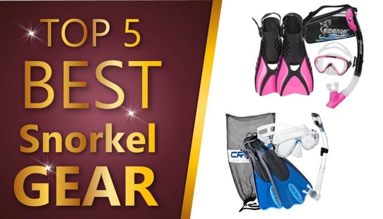 Best Snorkel Gear 2019
