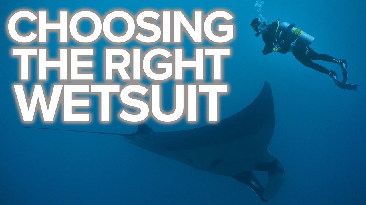 Choosing The Right Wetsuit