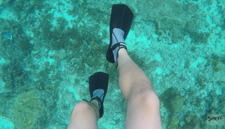 Snorkeling? Bring these with you
