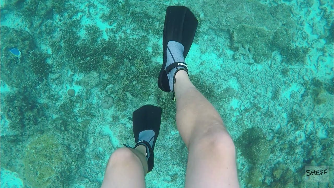 Snorkeling? Bring these with you