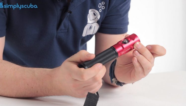 Sealife Sea Dragon Mini 900 Torch Review