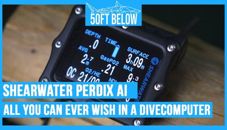 Shearwater Perdix AI Review | All You Can Ever Wish For In A Dive Computer
