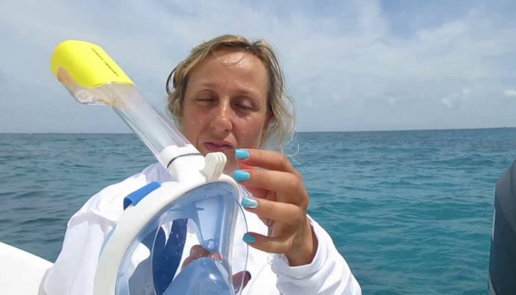 Snorkel Set : Full Face Snorkeling Mask + Adjustable Diving Fins review