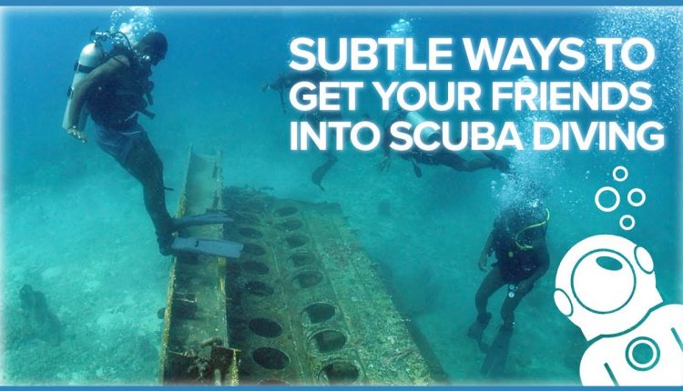 Subtle Ways To Get Your Friends Into Scuba Diving