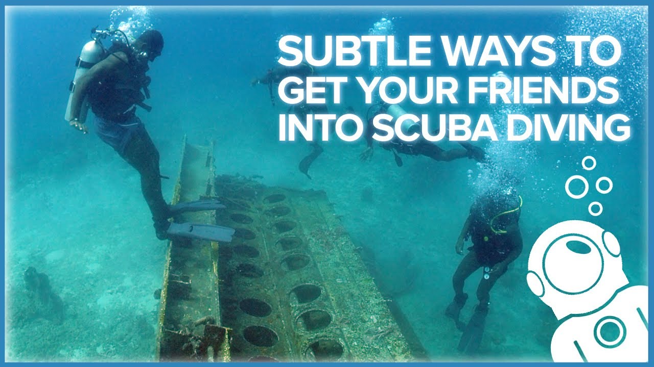 Subtle Ways To Get Your Friends Into Scuba Diving