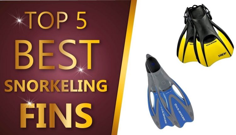 Best Snorkeling Fins 2019