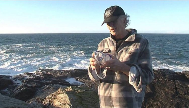 Scubapro Synergy Twin Mask Review