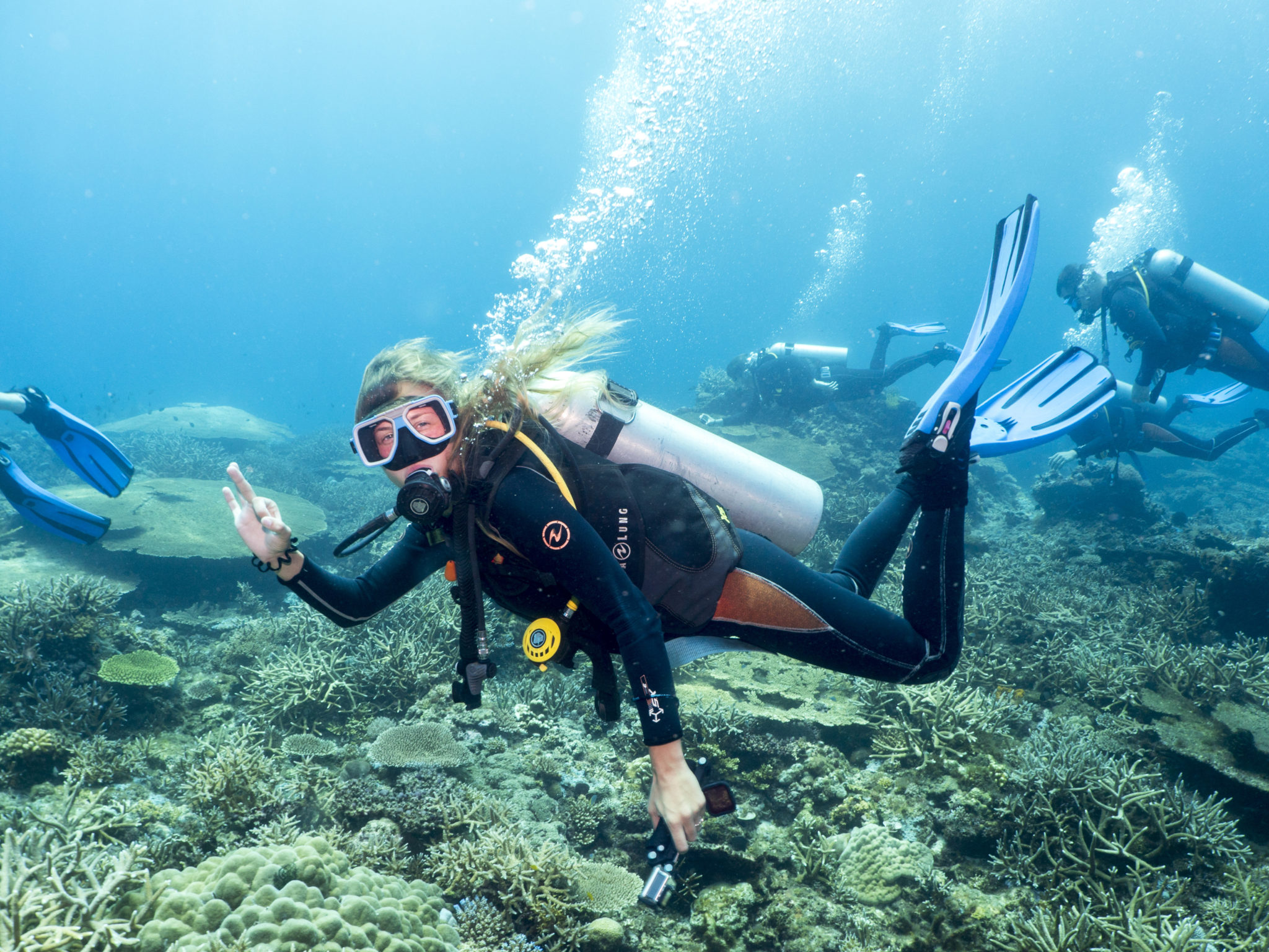 Once diving certified, scuba divers have the opportunity to see something t...