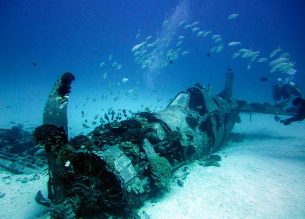 Scuba Diving in Hawaii: Pearl Harbor - 3D Diving