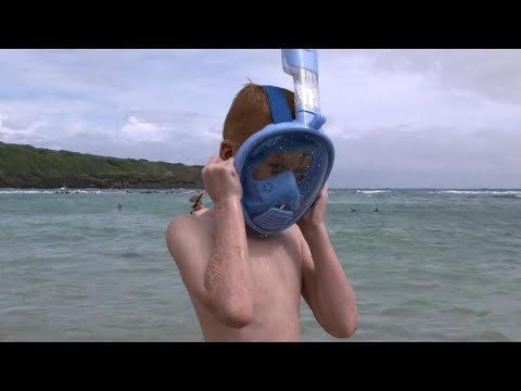 Hawaii investigates full-face snorkel masks
