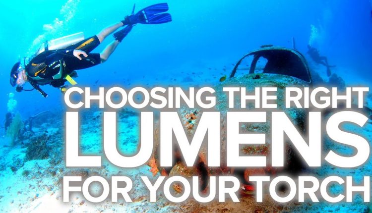 Choosing The Right Lumens For Your Torch
