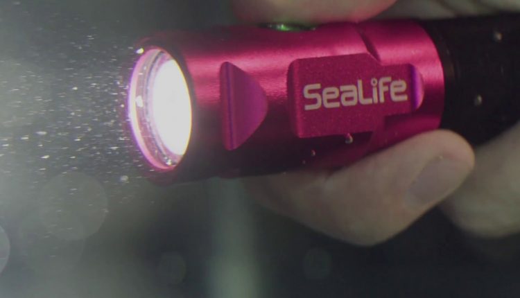 ScubaLab Testers Choice: SeaLife Sea Dragon Mini 900