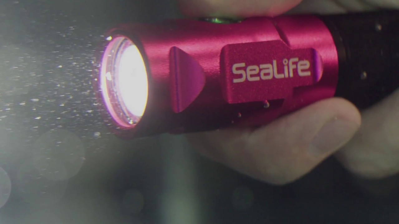 ScubaLab Testers Choice: SeaLife Sea Dragon Mini 900
