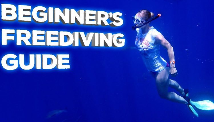 Freediving Gear Guide