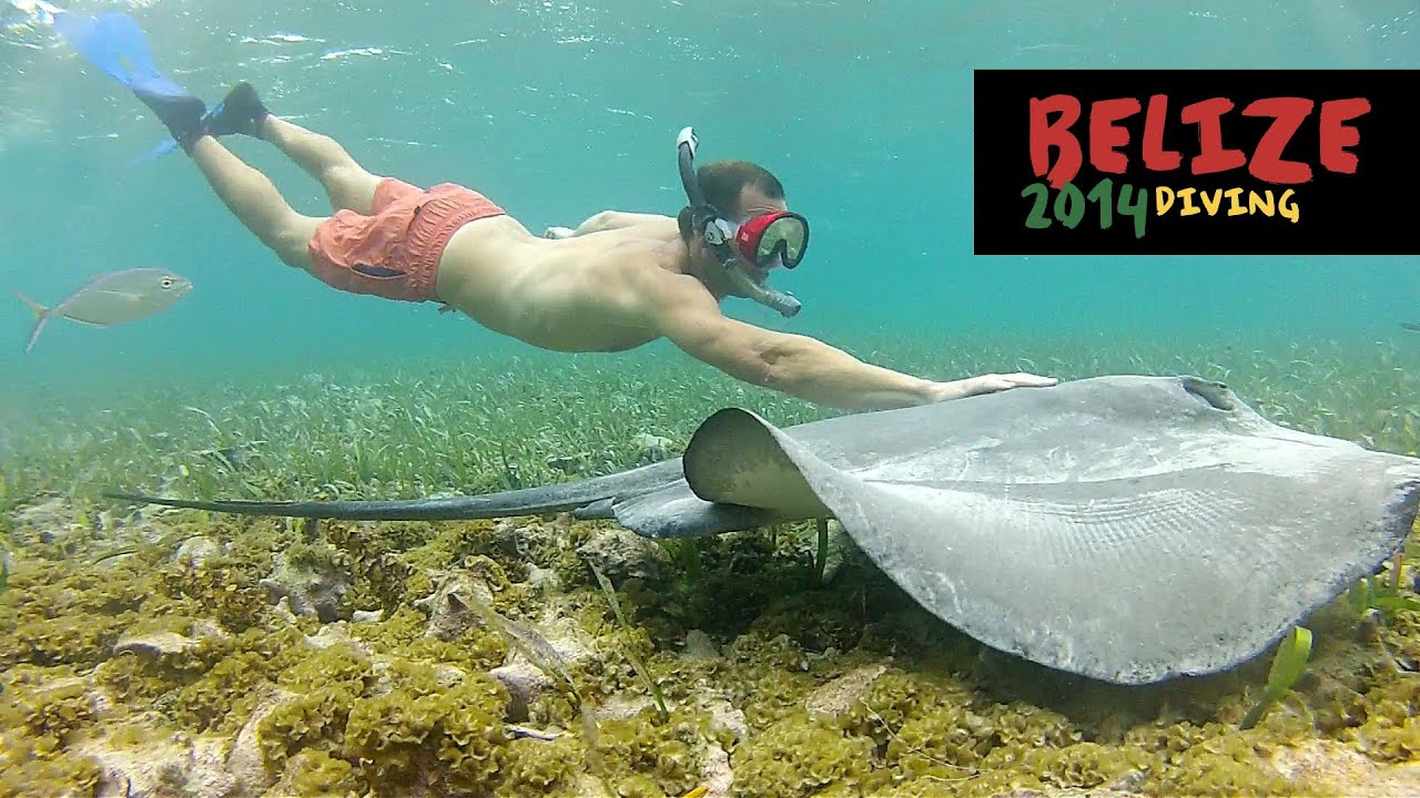 Scuba Diving & Snorkeling in Belize - 2014