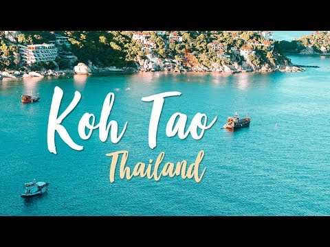VLOG: Koh Tao, THAILAND | SCUBA DIVING | Ban's diving resort 2018