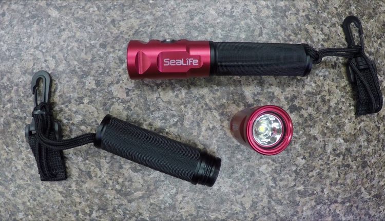 SeaLife Sea Dragon Mini 900 - TorpedoRays.com