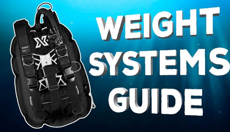 Weight System Guide