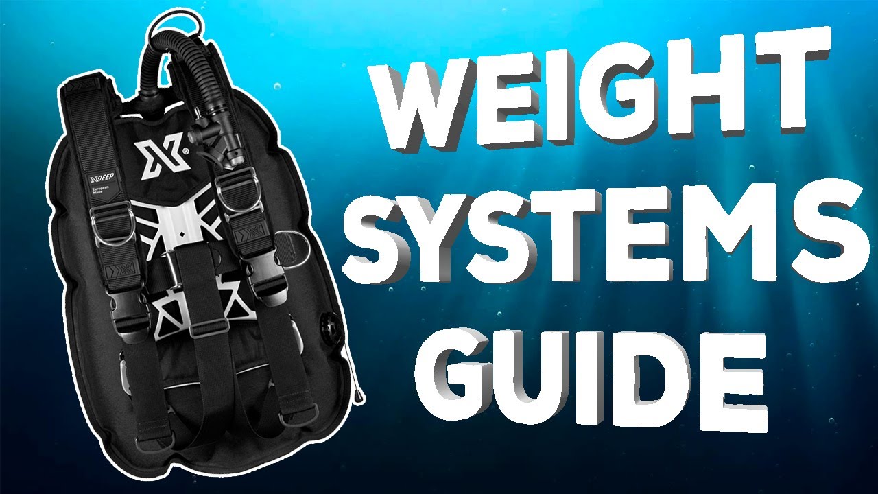 Weight System Guide
