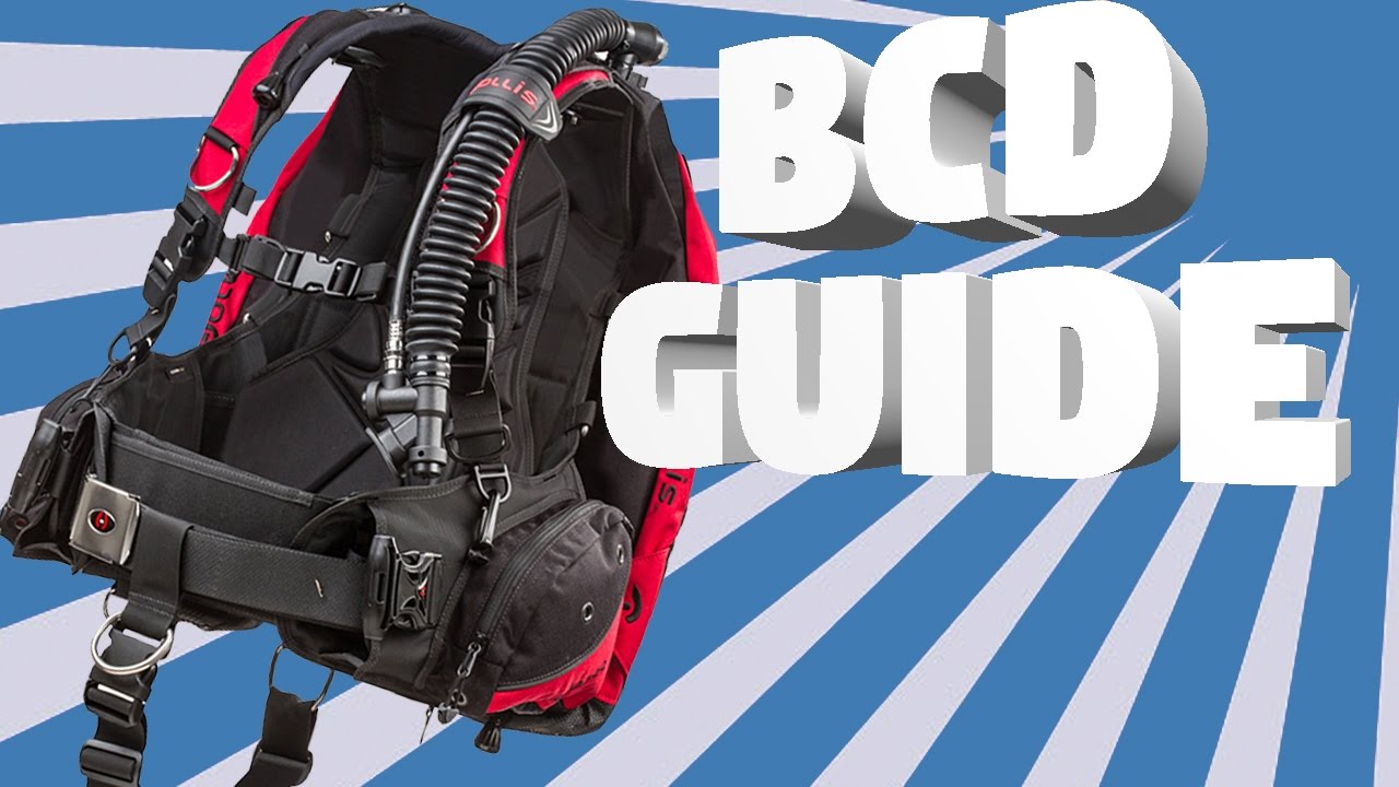 BCD Guide
