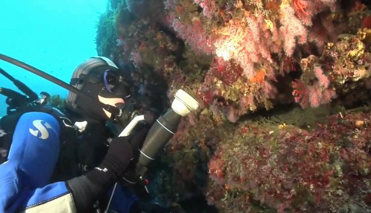 Masks from Scubapro - Spectra and Spectra 2