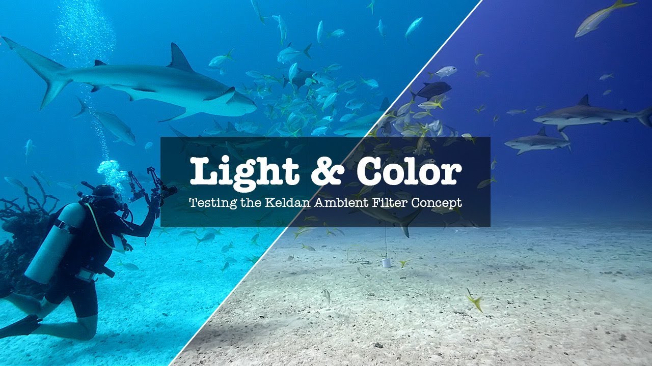 HOW TO GET THE COLOR RIGHT WHEN FILMING UNDER WATER?