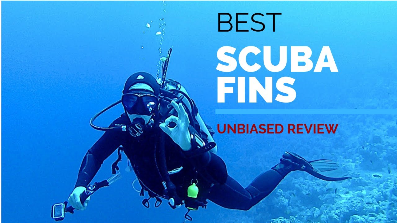 10 Best Scuba Fins 2019 | Top Performing Fins for your next Scuba Diving