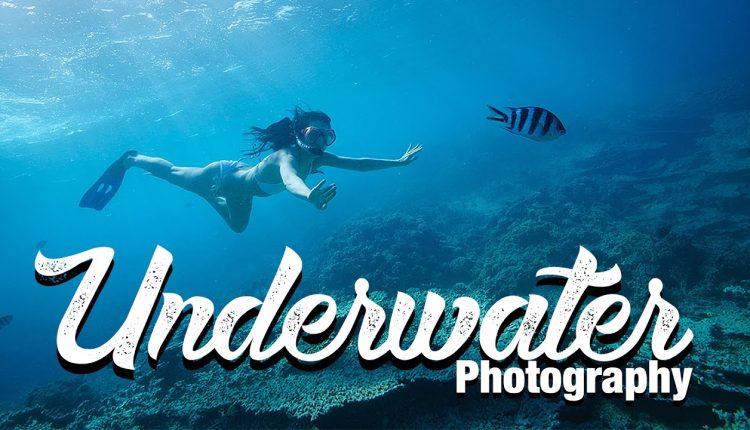Underwater Photography Guide Equipment and Tipps - Benjamin Jaworskyj learn Photograper