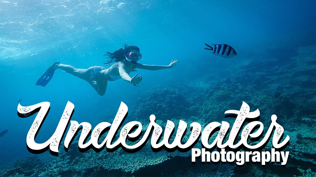 Underwater Photography Guide Equipment and Tipps - Benjamin Jaworskyj learn Photograper