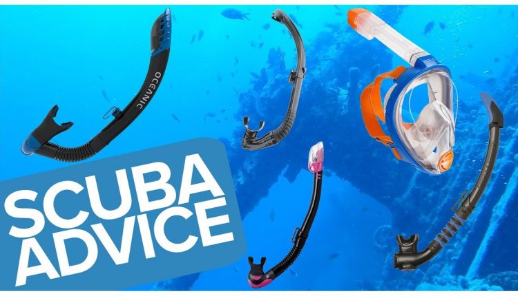 5 Of Our Favourite Snorkels