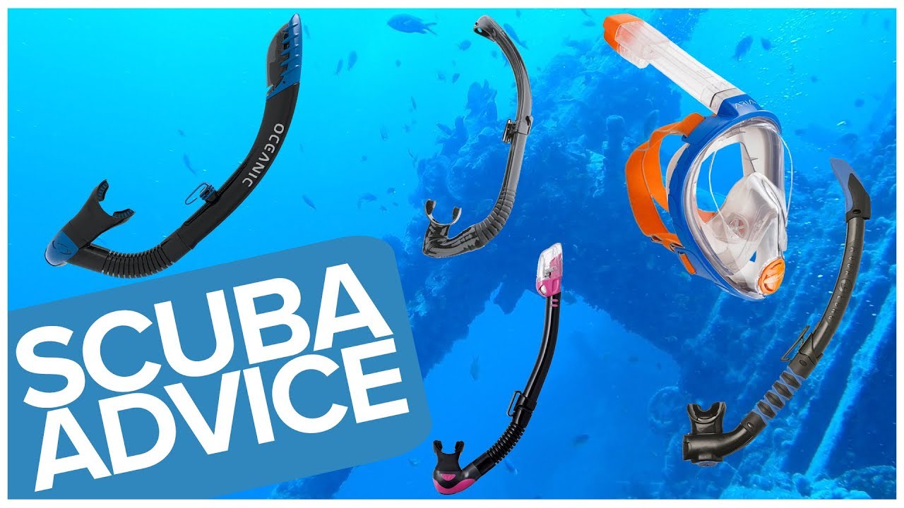 5 Of Our Favourite Snorkels