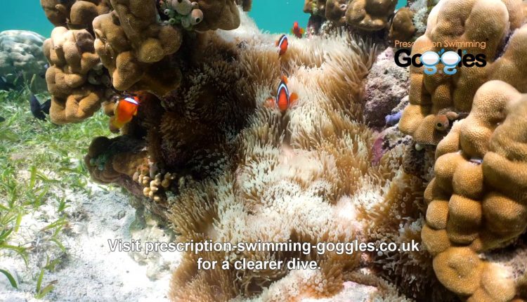 Wear glasses or contact lenses and enjoy diving?