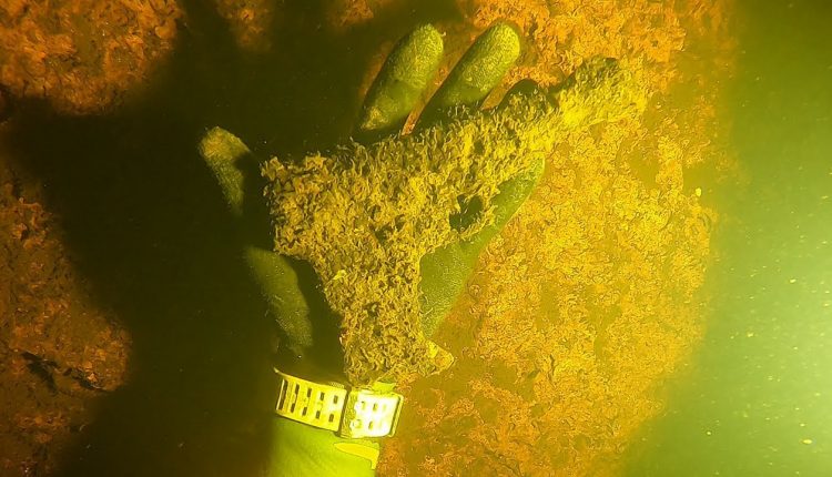 Found Semi-Automatic Pistol Underwater While Scuba Diving! (Police Called)