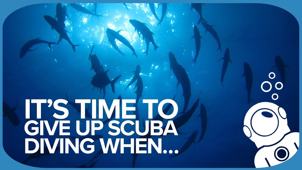 It's Time To Give Up Scuba Diving When...