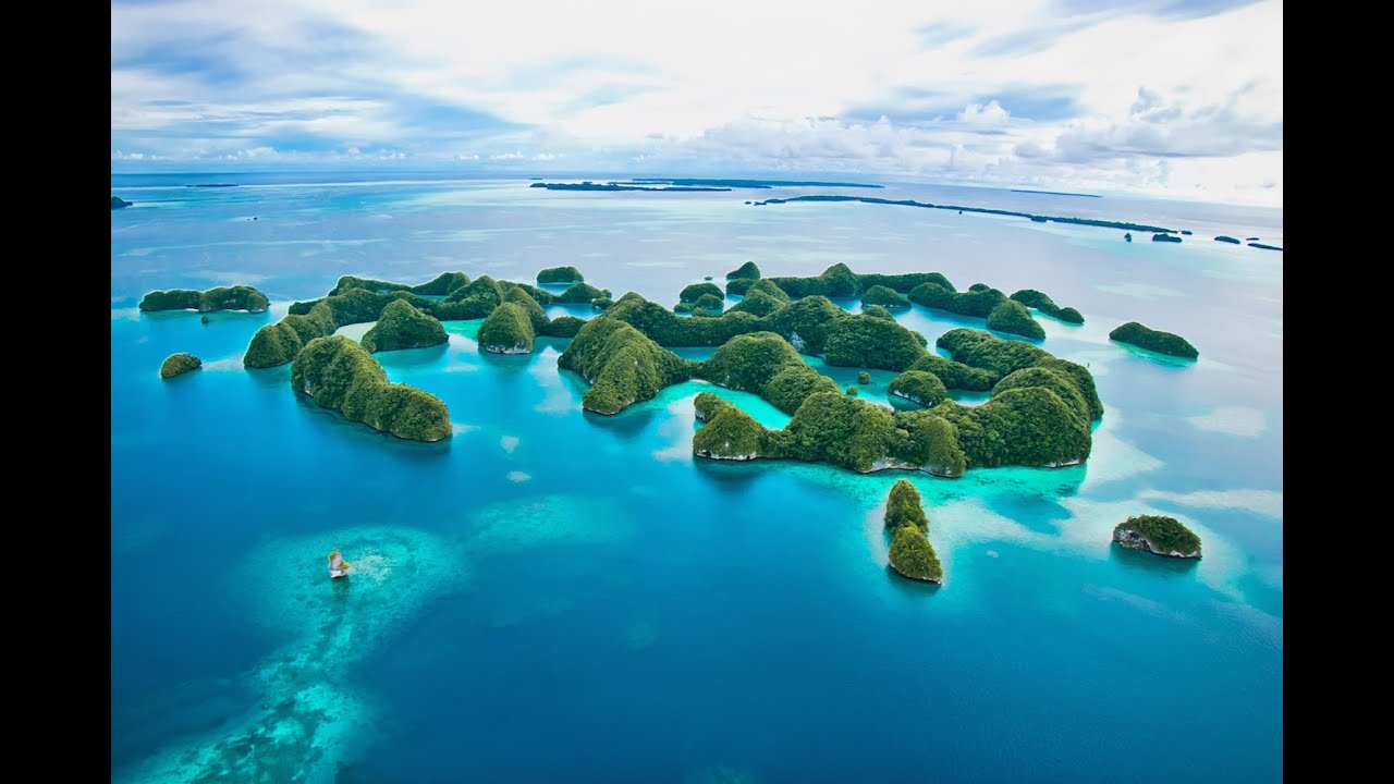 Dive Palau, This is How You Should Do It!