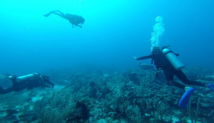 Scuba Diving in Mexico - Bahia Divers - Xpu-Ha
