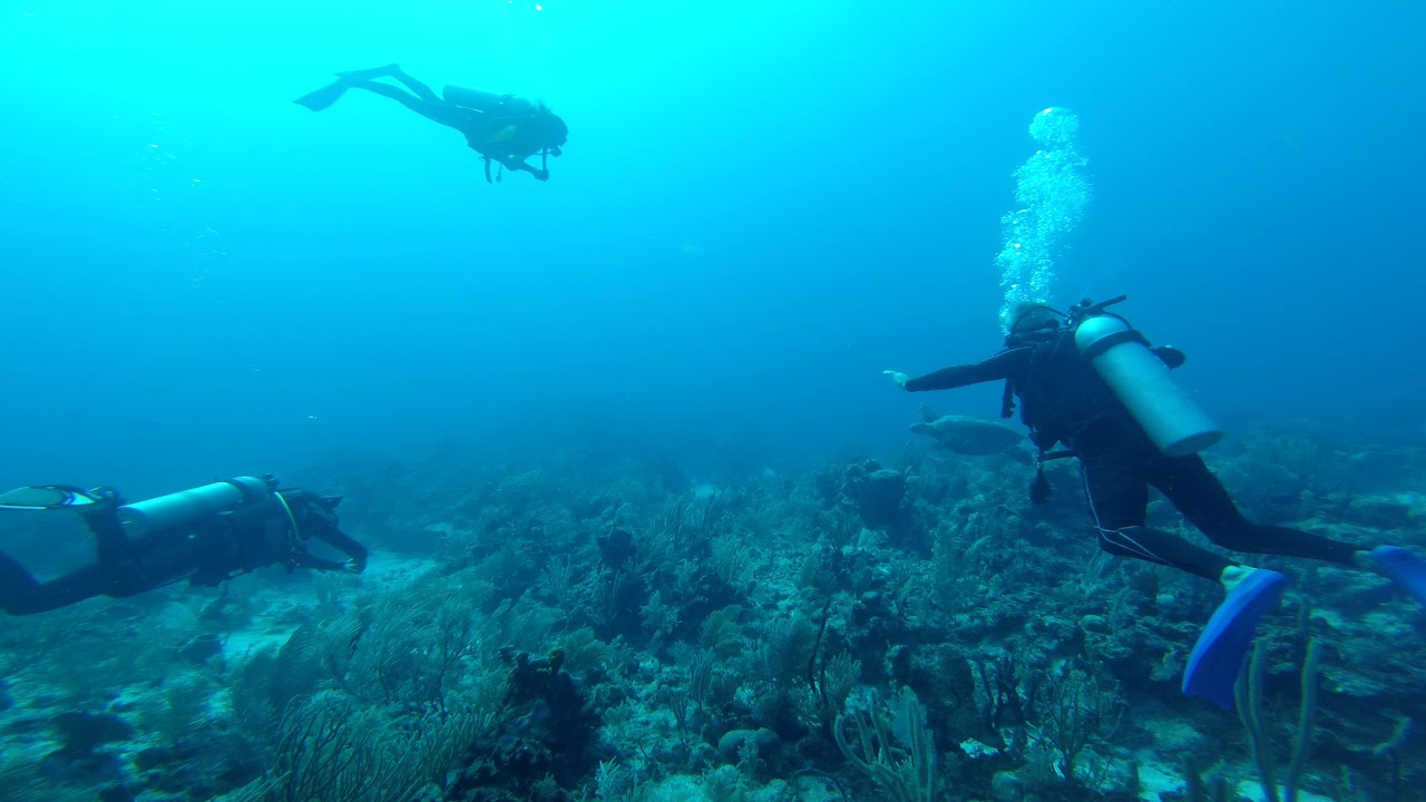 Scuba Diving in Mexico - Bahia Divers - Xpu-Ha - 3D Diving